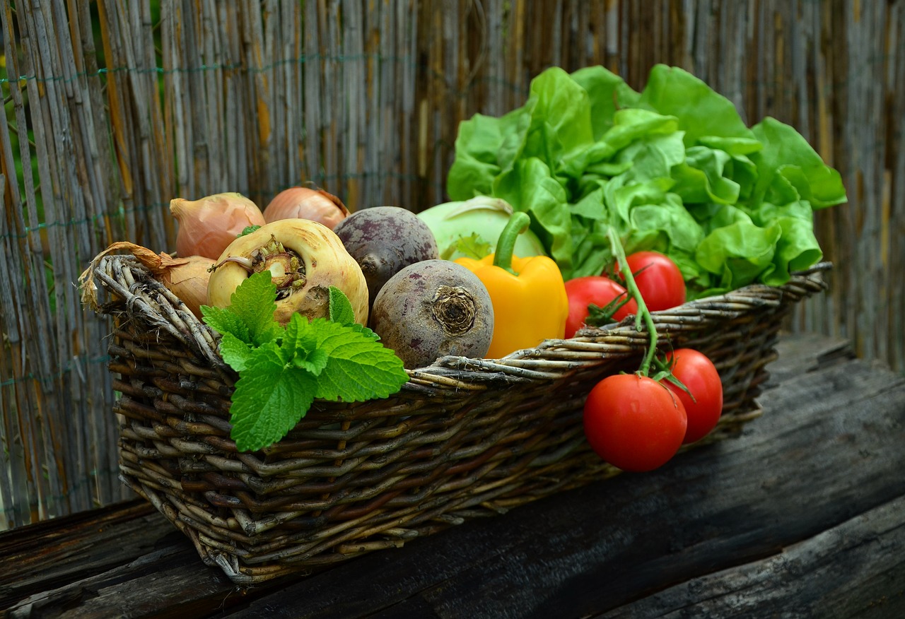 What is Healthy Food? - Carna Pedia